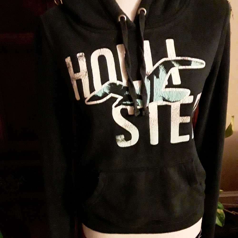 Hollister hoodie junior